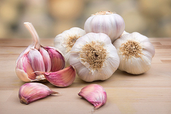 national-garlic-day