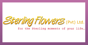 Sterling Flowers