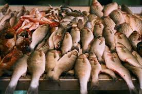 Sri-Lankan Dried Fish Supplier
