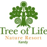 Hotel Tree Of Life