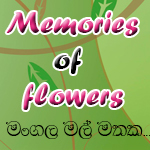Memories Of Flowers