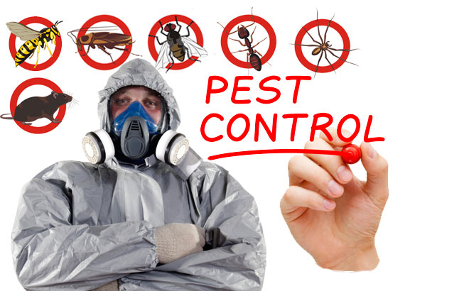 Green Pest Control Services (Pvt) Ltd