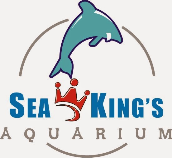 Seakings Aquarium