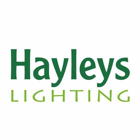 Hayleys Electronics