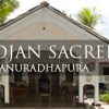 Cadjan Sacred - Anuradhapura