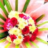 Liera Flowers Events  and Party Decorations Pvt Ltd