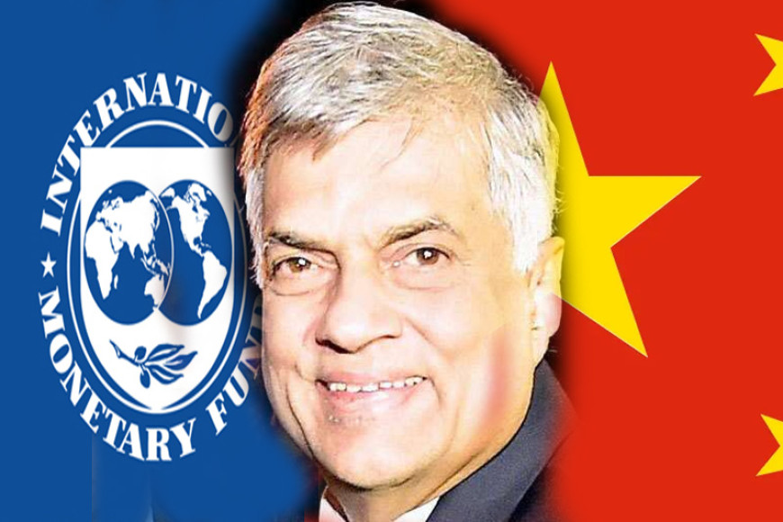 IMF and China prepared a batting wicket for the President